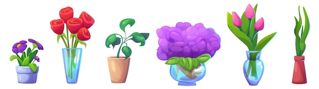 Free Vector house plants with flower heads in pot and vase