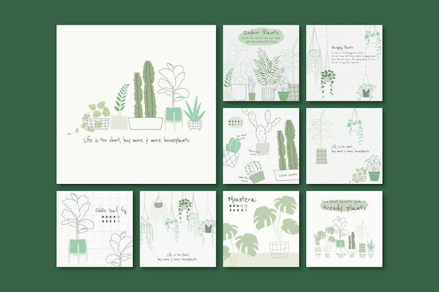 Free Vector houseplant botanical template vector set for social media