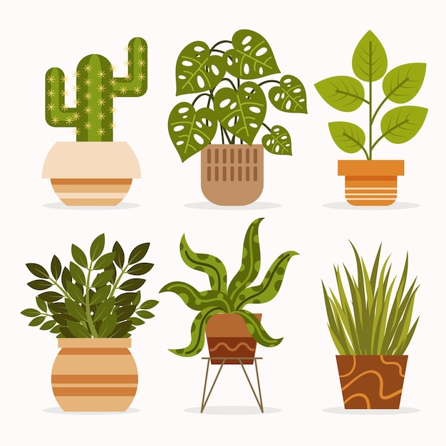 Free vector houseplant collection illustration