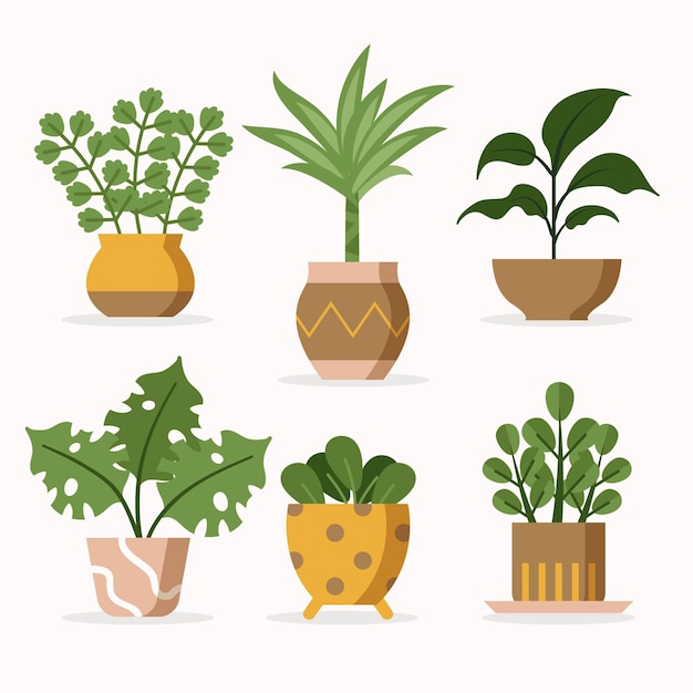 Free Vector houseplant collection illustration