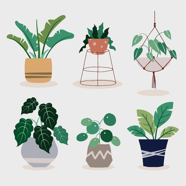 Free Vector houseplant collection illustration