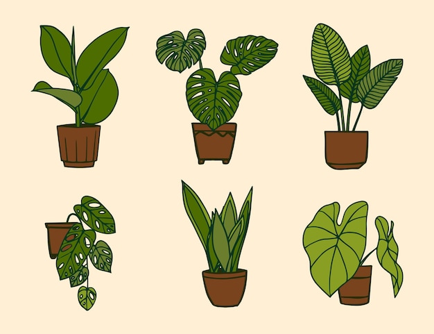 Free Vector houseplant collection illustration