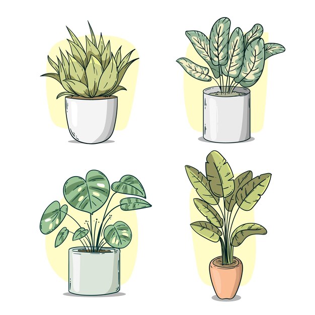 Houseplant collection