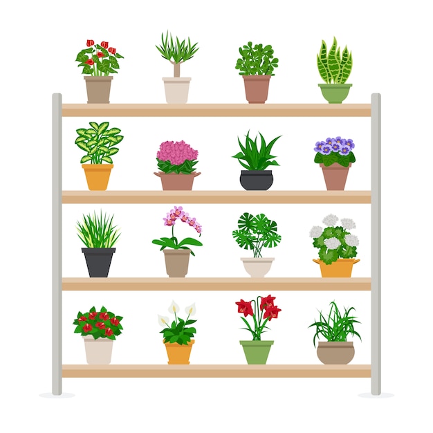 Free Vector houseplants on shelves illustration 