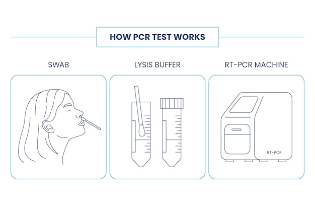 How pcr test works