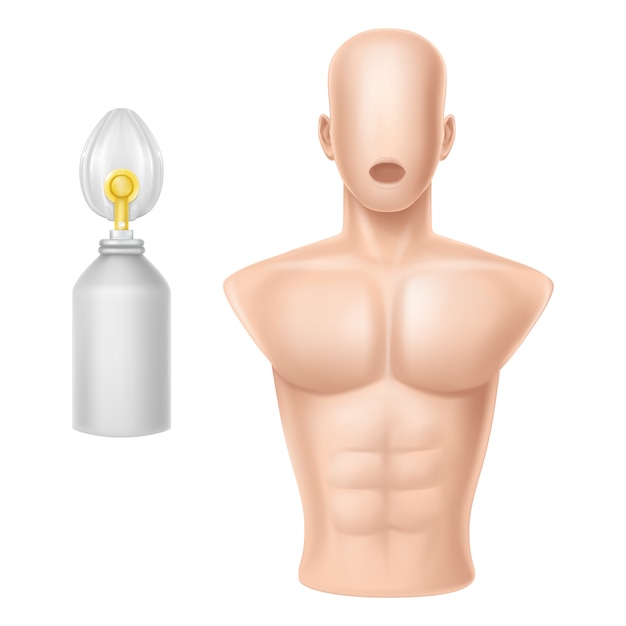 Free Vector human body for training of artificial respiration