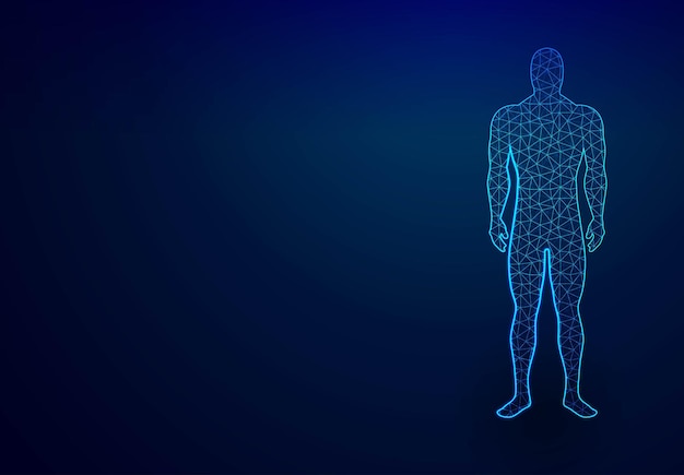 Free Vector human body in virtual reality medical blue print scanned 3d model abstract low poly wireframe mesh design dot and line connection vector illustration  background