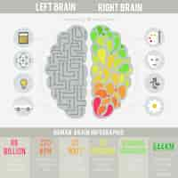 Free vector human brain infographic in flat design