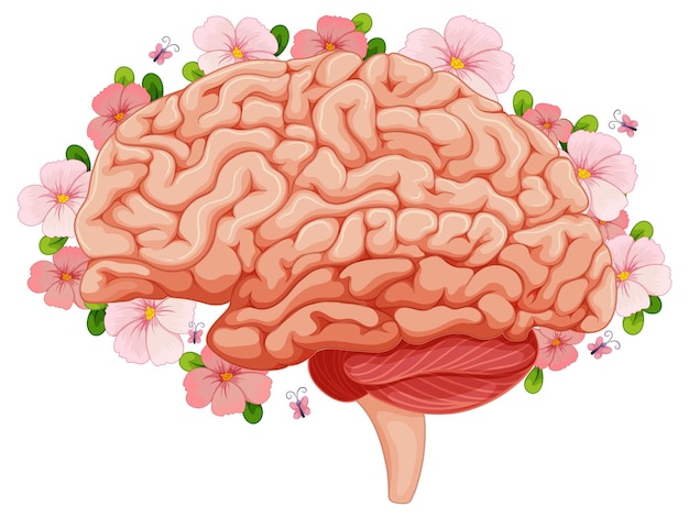 Free vector human brain with pink flowers