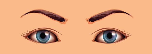 Free Vector human close up eyes area