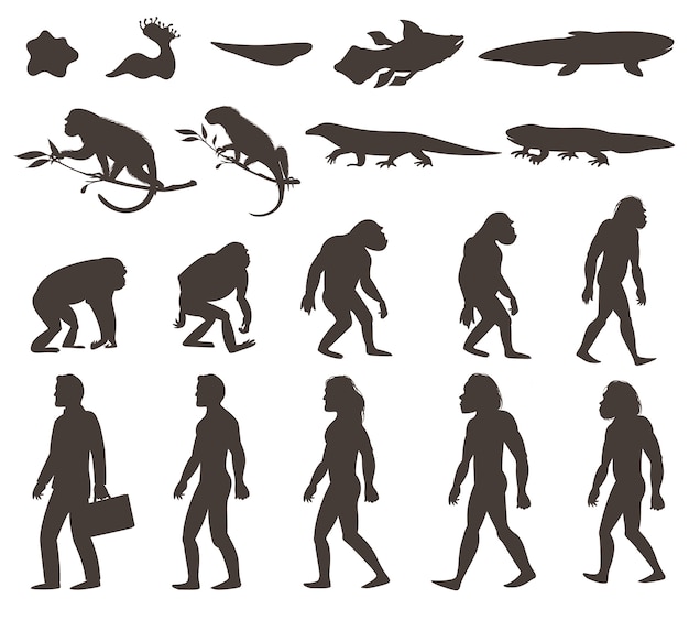 Free vector human darwin evolution silhouettes set