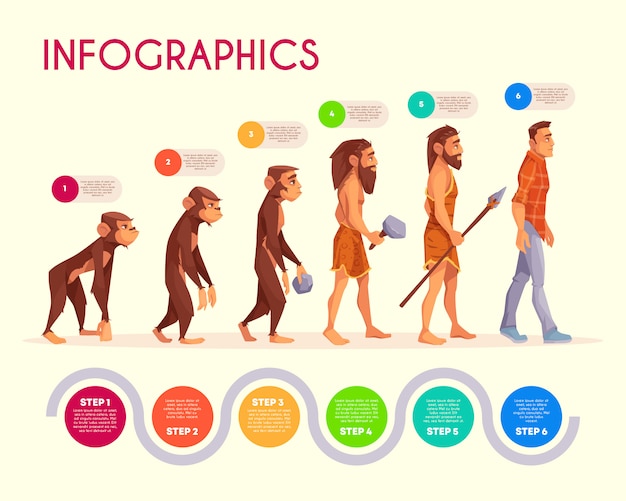 Free Vector human evolution infographics. steps of monkey transforming to modern man, time line. 