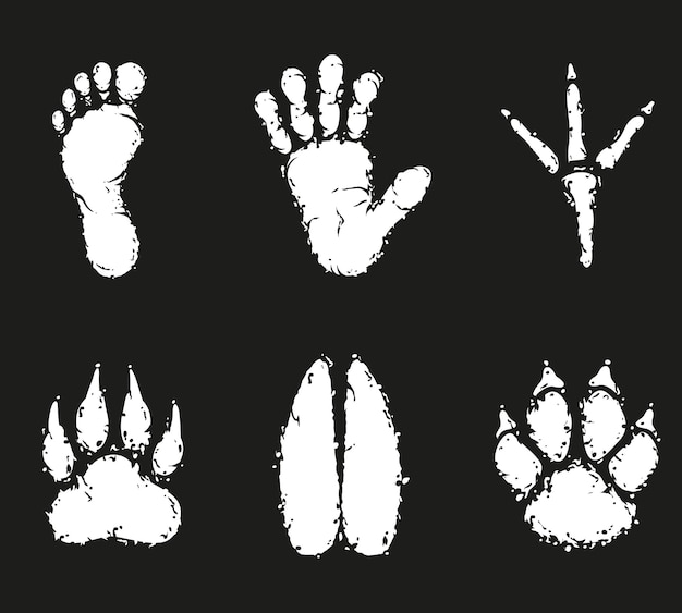 Human foot print and animal footprint