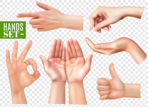 Human hands gestures realistic images set with pointing finger ok sign thumb up transparent 