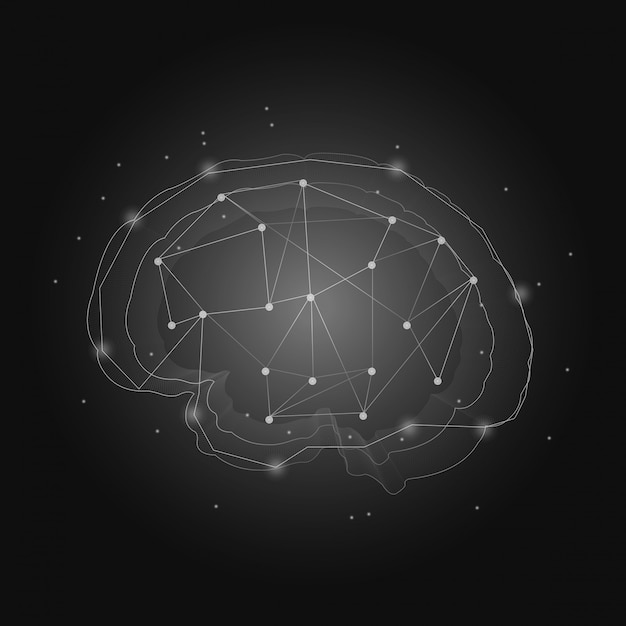 Human nervous system