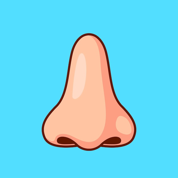 Human Nose Cartoon Vector Icon Illustration Education Object Icon Isolated Flat Vector