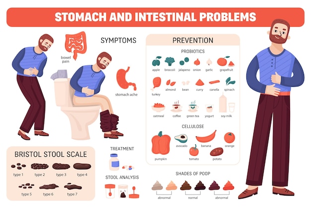 Free vector human poop diagram composition