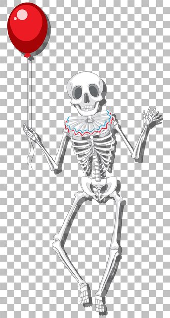 Human skeleton on grid background