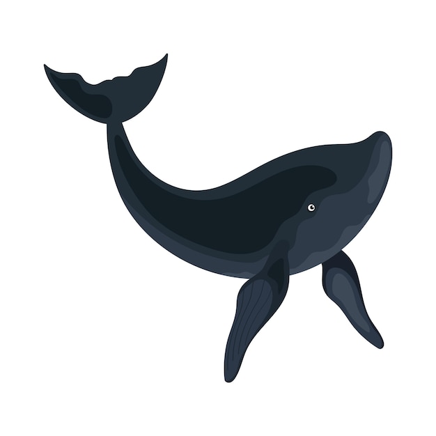 Free vector humpback sealife animal