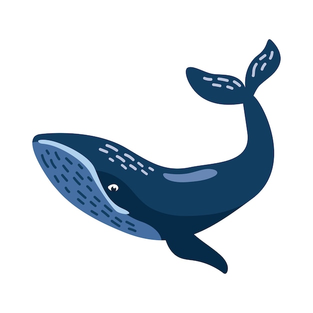 Free vector humpback sealife big