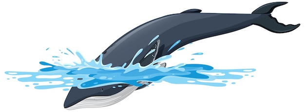 Humpback whale cartoon on white background