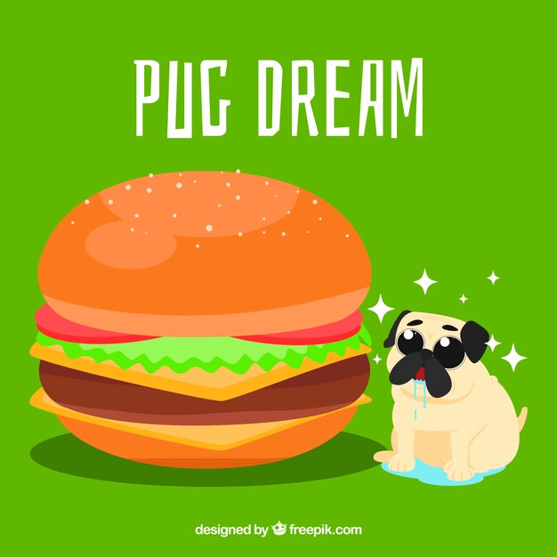 Hungry pug and burger