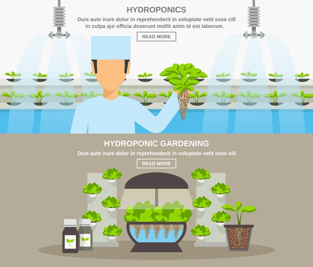 Hydroponic Design banner