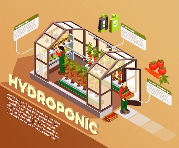 Hydroponic Isometric Composition