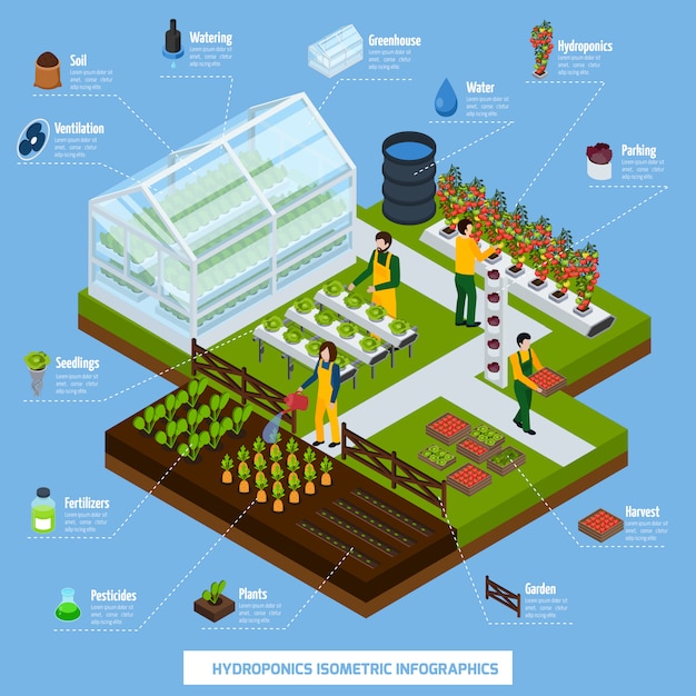 Hydroponics And Aeroponics Infographic Set