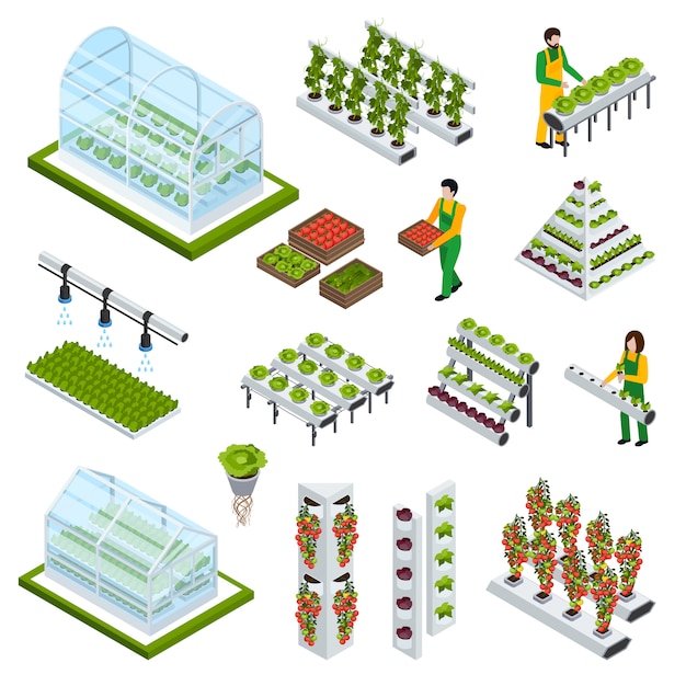 Hydroponics Icons Set