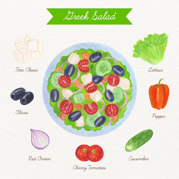 Free Vector illustrated healthy salad recipe