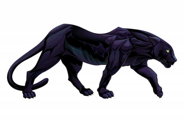 Illustration of a black panther