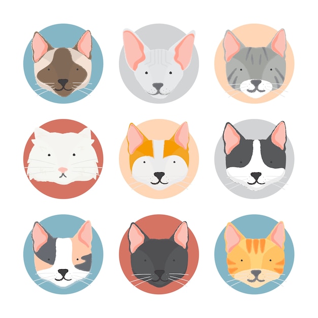 Illustration of cats collection