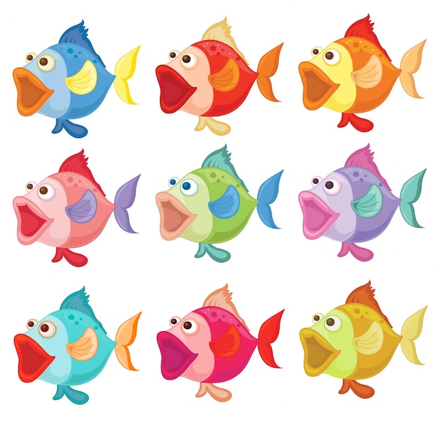 Free vector illustration of the colorful fishes on a white background