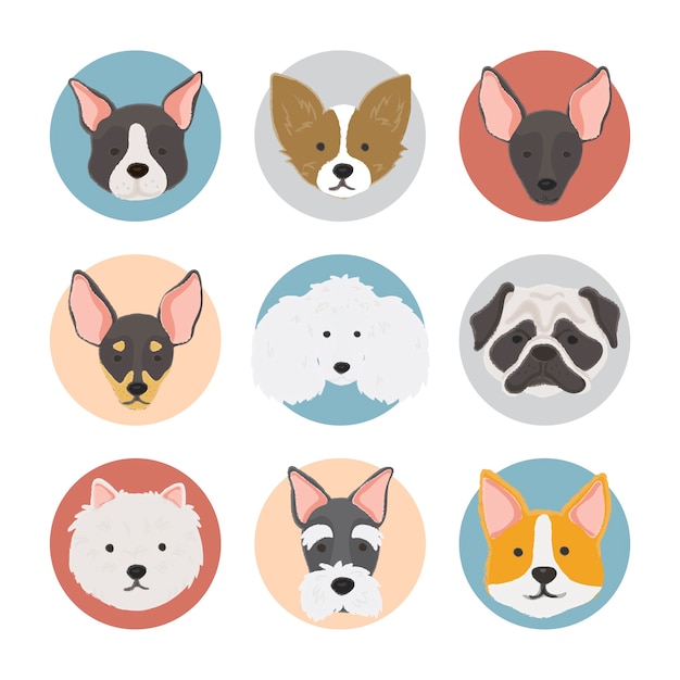 Illustration of dogs collection