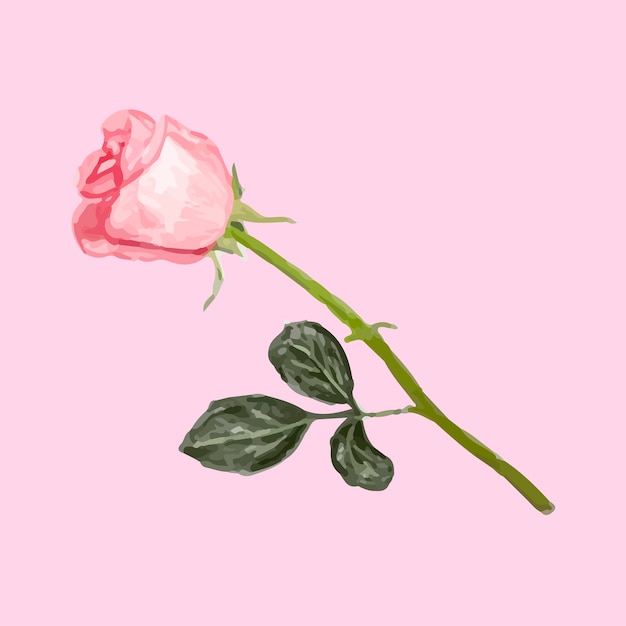 Free vector illustration of drawing rose flower