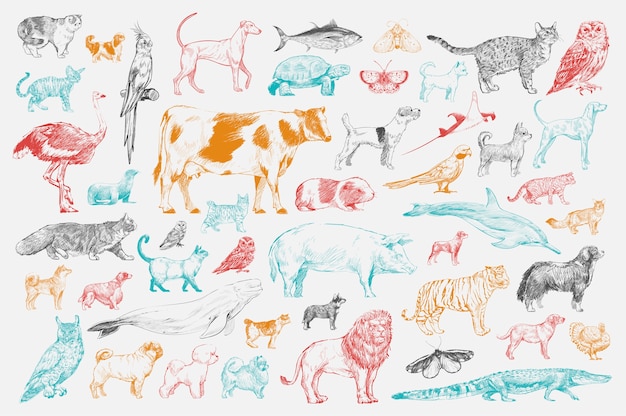 Free Vector illustration drawing style of animal collection