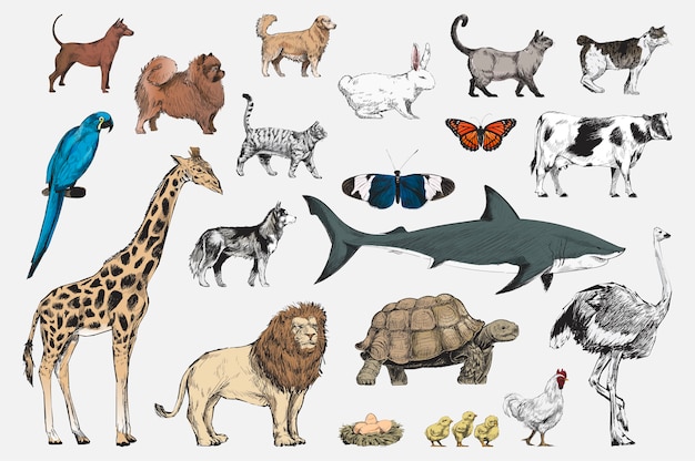 Free Vector illustration drawing style of animal collection