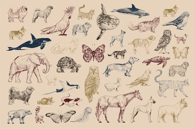 Free Vector illustration drawing style of animal collection