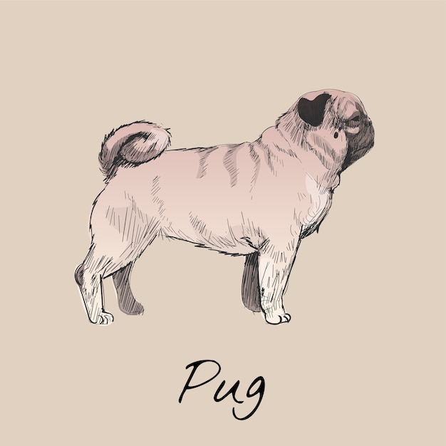 Free vector illustration drawing style of dog