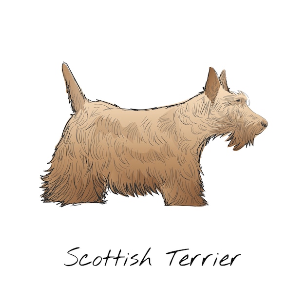 Free Vector illustration drawing style of dog