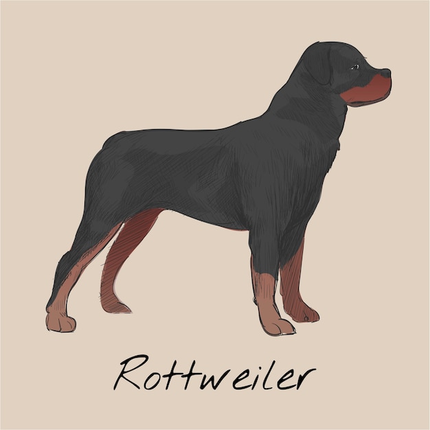 Free vector illustration drawing style of dog