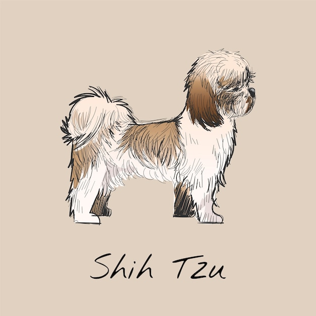 Illustration drawing style of dog