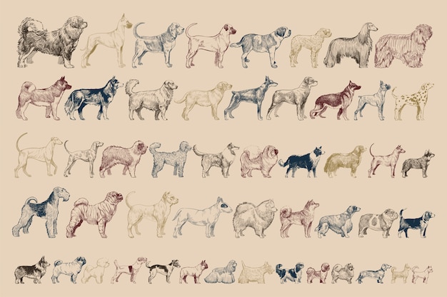 Free vector illustration drawing style of dog