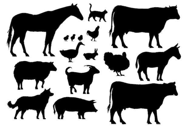 Illustration drawing style of farm animals collection