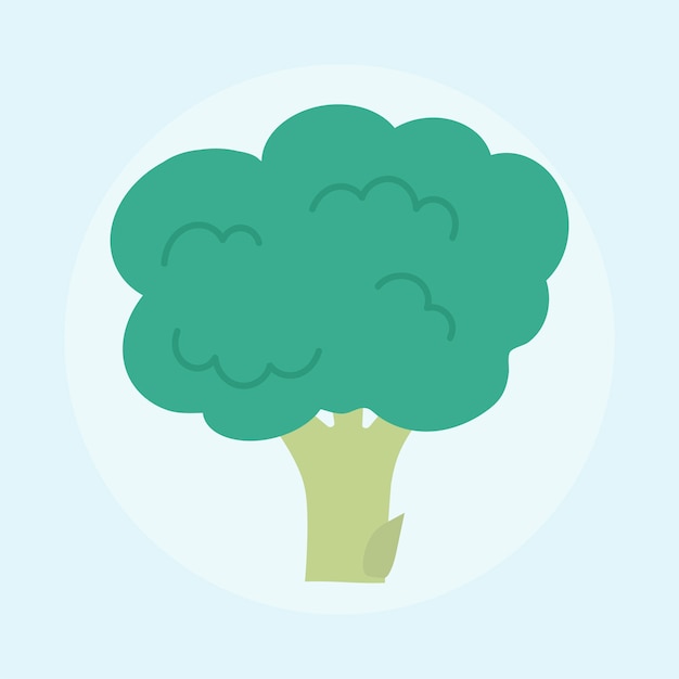 Illustration of fresh broccoli isolated