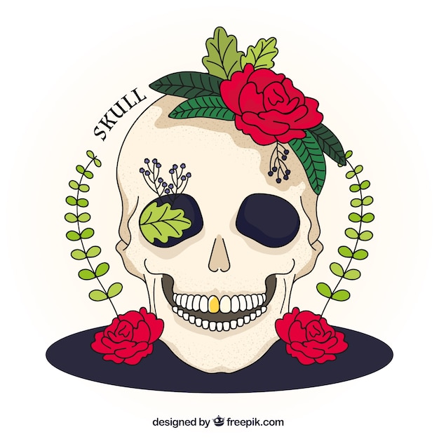 Free Vector illustration of hand drawn skull with roses