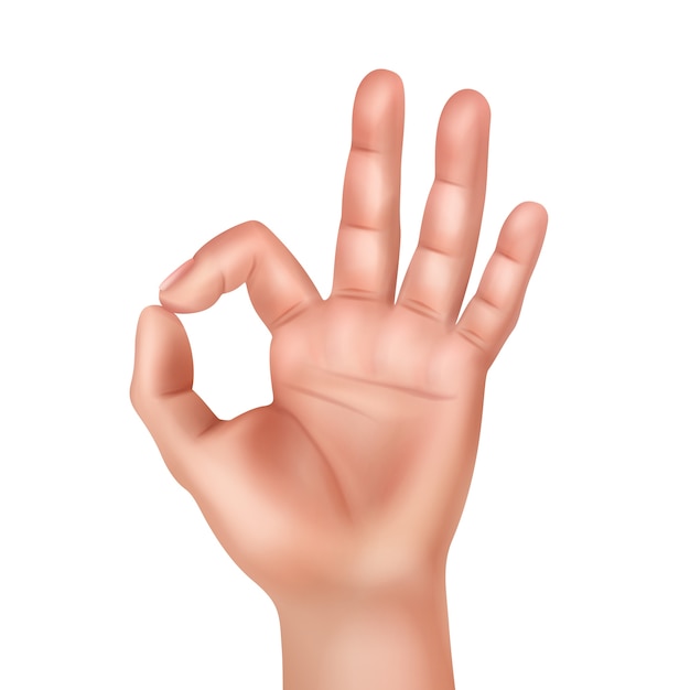 Free Vector illustration of human hand showing okay sign