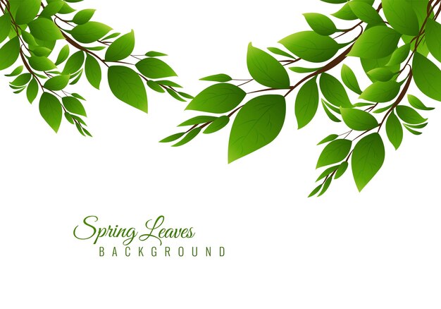 Illustration nature background with green leaves