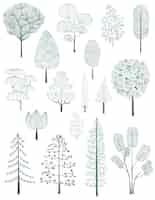 Free vector illustration of pine trees collection